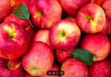 아침에 후식으로 먹는 사과…혈중 콜레스테롤·혈관에 어떤 영향?