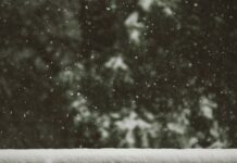 올 겨울엔 눈 많이 와도 출퇴근 걱정 마세요. 관악구, 동절기 제설 준비 완료! white snow flakes