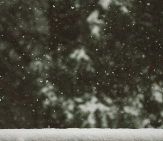 올 겨울엔 눈 많이 와도 출퇴근 걱정 마세요. 관악구, 동절기 제설 준비 완료! white snow flakes