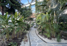 서울숲, 새단장한 곤충식물원에서 초록 겨울을 만나보세요