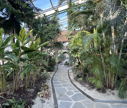 서울숲, 새단장한 곤충식물원에서 초록 겨울을 만나보세요