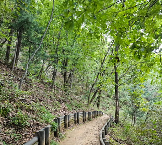 관악구, 관악산 일대 등산로 정비해 주민의 안전하고 쾌적한 등산환경 조성 박차