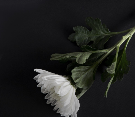 서울시, 제주항공 여객기 사고 희생자 합동분향소 10일까지 연장 운영