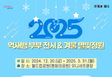 2025 을사년, 억새뱀과 겨울 별빛 정원 보러 월드컵공원으로 가자!