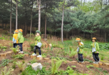 서울시, 가까운 유아숲체험원에서 숲속놀이터를 만나보세요