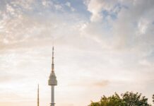 고용지원부터 외국인 여행자보험 지원까지, 서울 관광에 활력 불어넣는다 green tree