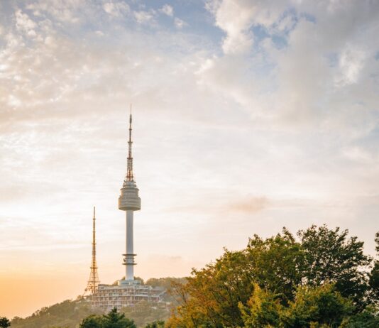 고용지원부터 외국인 여행자보험 지원까지, 서울 관광에 활력 불어넣는다 green tree