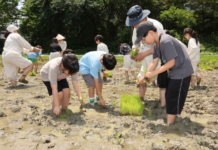 초여름 논밭의 노래와 은은한 멋의 옻칠보석함까지…무형유산 공개행사 연다