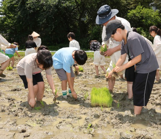 초여름 논밭의 노래와 은은한 멋의 옻칠보석함까지…무형유산 공개행사 연다