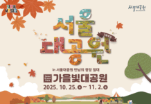 지금 서울대공원은 가을빛으로 물드는 중! 서울대공원, 가을단풍축제 개최