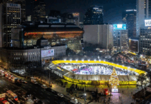 18만이 사랑한 겨울 명소 서울광장 스케이트장, ”12월에 다시 만나요!”